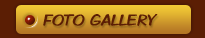 Foto gallery